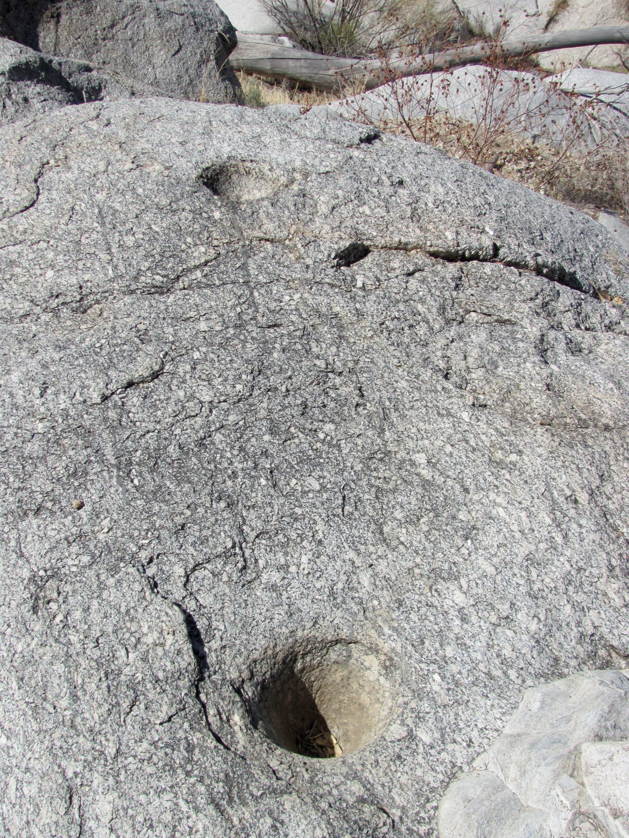 Wild Burro Trail